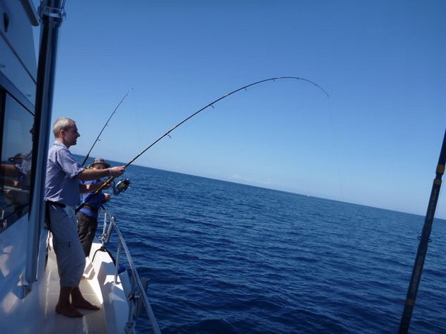 Hooked Up Cavalier & Blue Marlin Sport Fishing Gran Canaria