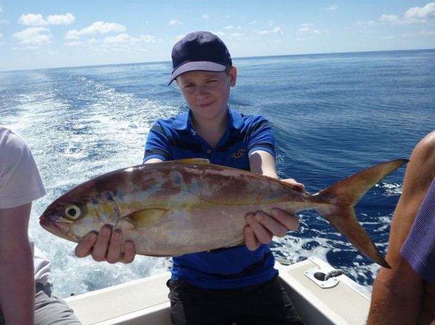 Amberjack Cavalier & Blue Marlin Sport Fishing Gran Canaria