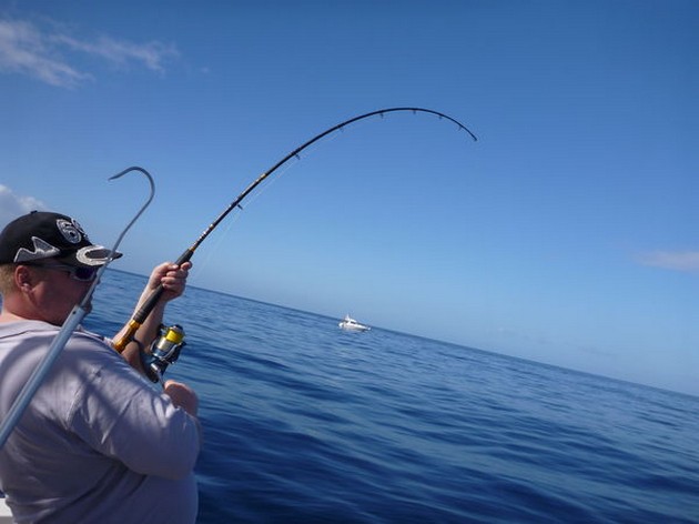 Hooked Up Cavalier & Blue Marlin Sport Fishing Gran Canaria