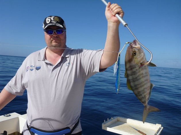 Amberjack Cavalier & Blue Marlin Sport Fishing Gran Canaria