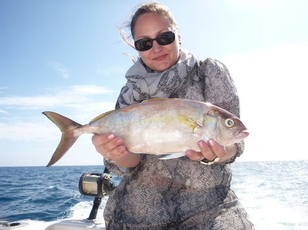 Amberjack Cavalier & Blue Marlin Sport Fishing Gran Canaria
