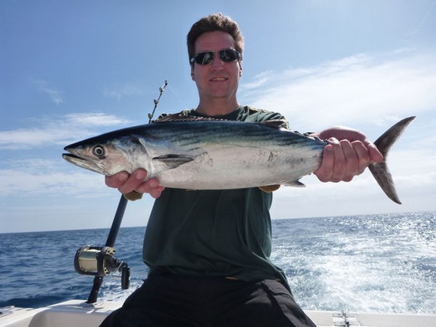 Atlantic Sierra Tuna Cavalier & Blue Marlin Sport Fishing Gran Canaria