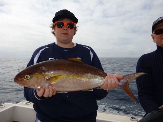 Amberjack Cavalier & Blue Marlin Sport Fishing Gran Canaria