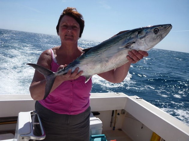01/03 North Atlantic Bonito Cavalier & Blue Marlin Sport Fishing Gran Canaria