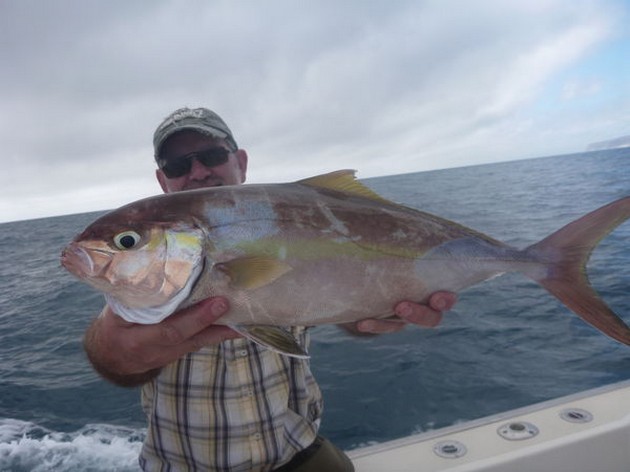06/03 Amberjack Cavalier & Blue Marlin Sport Fishing Gran Canaria