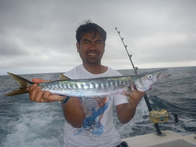 Baracuda Cavalier & Blue Marlin Sport Fishing Gran Canaria