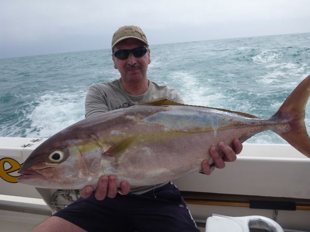 Amberjack Cavalier & Blue Marlin Sport Fishing Gran Canaria