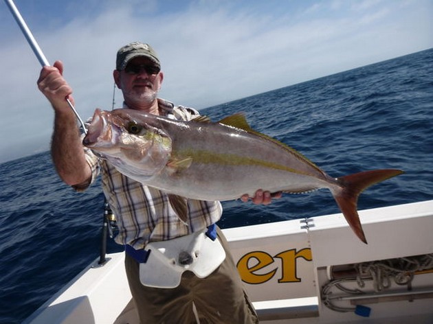 Amberjack Cavalier & Blue Marlin Sport Fishing Gran Canaria