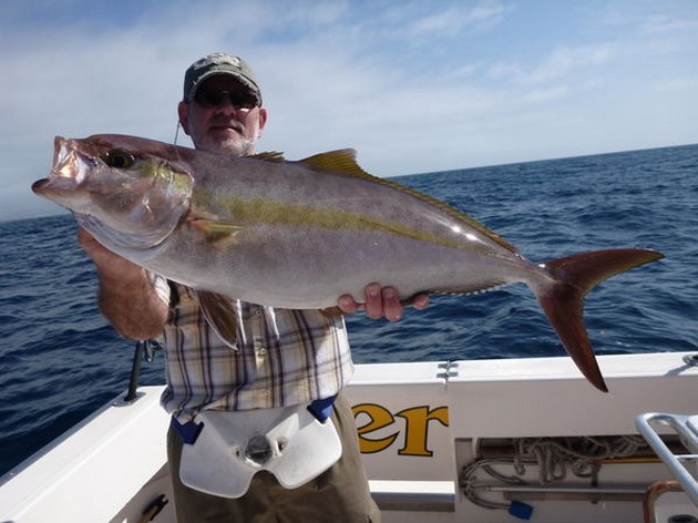 Amberjack Cavalier & Blue Marlin Sport Fishing Gran Canaria