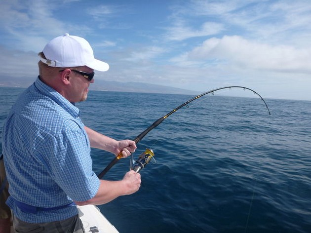 Hooked Up Cavalier & Blue Marlin Sport Fishing Gran Canaria