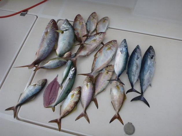 Nice Catch Cavalier & Blue Marlin Sport Fishing Gran Canaria