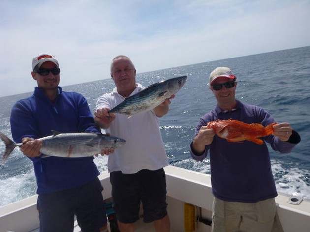 Nice Catch Cavalier & Blue Marlin Sport Fishing Gran Canaria