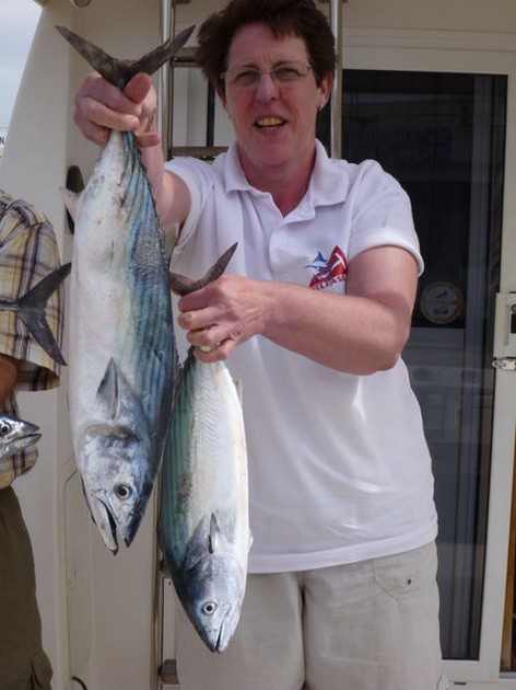 North Atlantic Bonito Cavalier & Blue Marlin Sport Fishing Gran Canaria