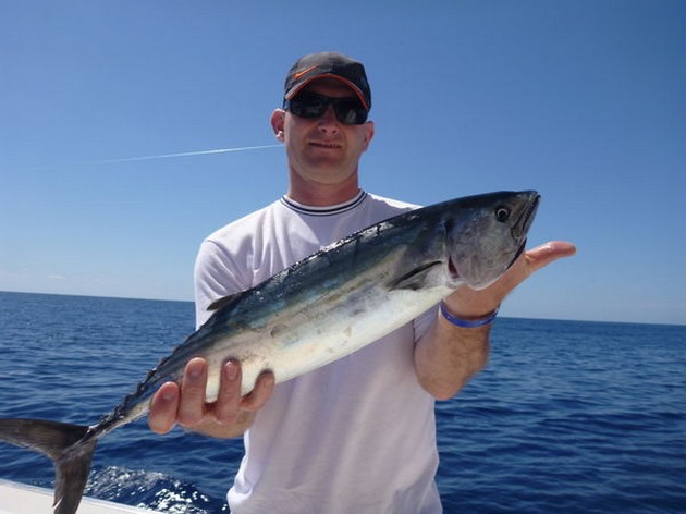 Sierra Cavalier & Blue Marlin Sport Fishing Gran Canaria