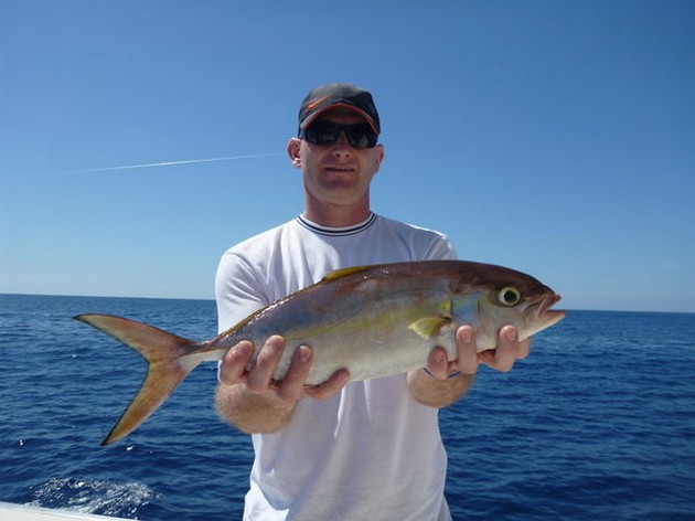 Amberjack Cavalier & Blue Marlin Sport Fishing Gran Canaria