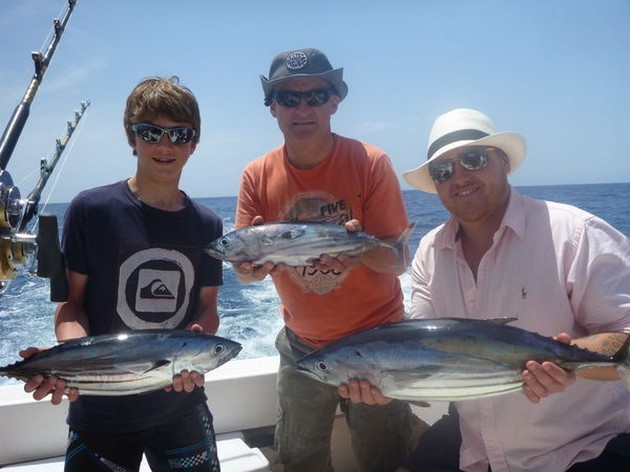 SKIPJACK TUNA Efter några dagar har varit i torrdocka Cavalier & Blue Marlin Sport Fishing Gran Canaria