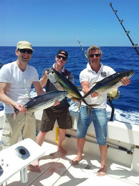 GUL FINTUNA Igår kunde jag nämna fångsten Cavalier & Blue Marlin Sport Fishing Gran Canaria