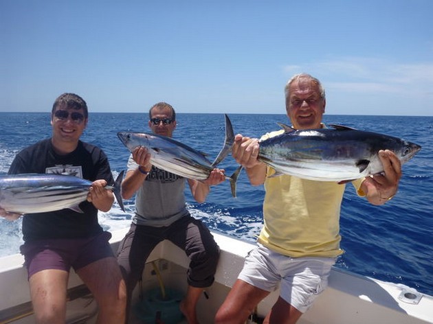 Skipjack Tuna Cavalier & Blue Marlin Sport Fishing Gran Canaria