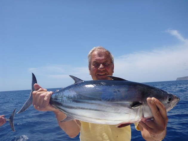 Skipjack Tuna Cavalier & Blue Marlin Sport Fishing Gran Canaria