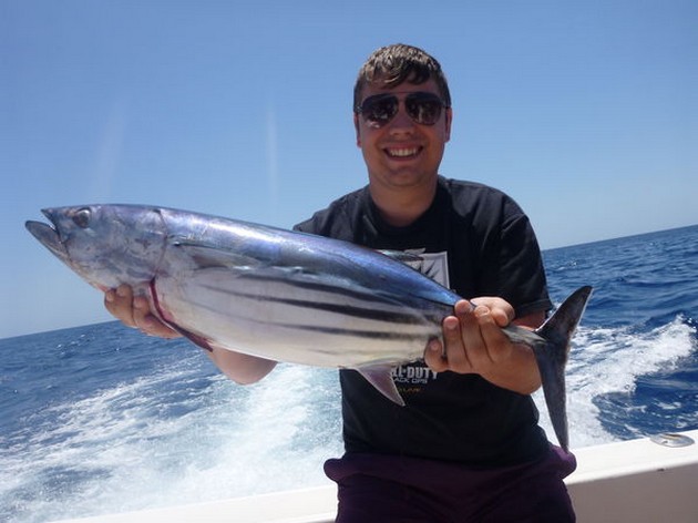 Skipjack Tuna Cavalier & Blue Marlin Sport Fishing Gran Canaria