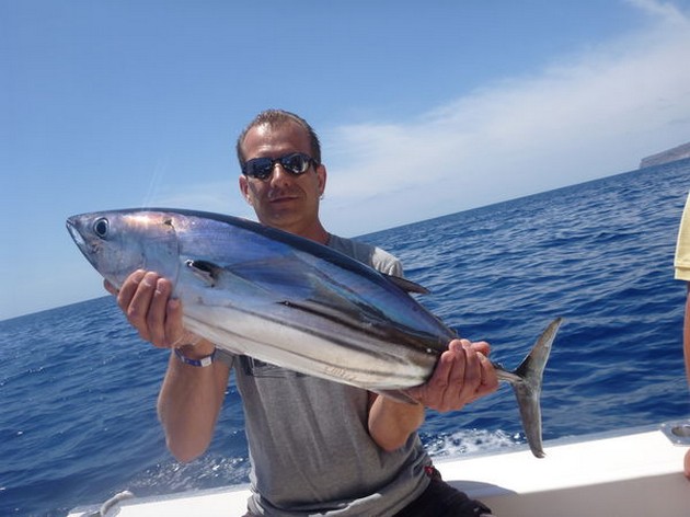 Skipjack Tuna Cavalier & Blue Marlin Sport Fishing Gran Canaria
