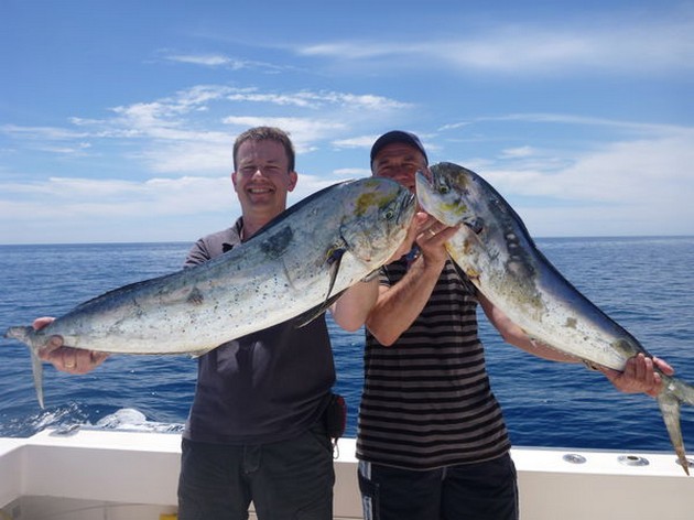 Dorado's Cavalier & Blue Marlin Sport Fishing Gran Canaria