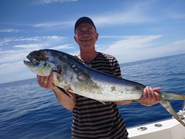 Dorado Cavalier & Blue Marlin Sport Fishing Gran Canaria