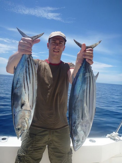 Skipjack Tuna Cavalier & Blue Marlin Sport Fishing Gran Canaria