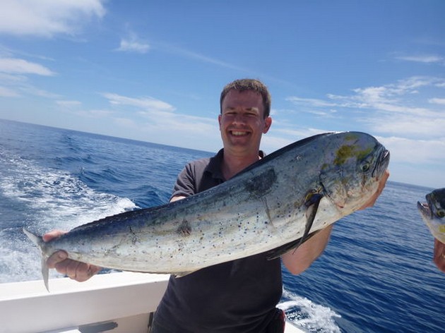 Dorado Cavalier & Blue Marlin Sport Fishing Gran Canaria