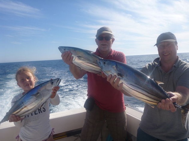 Skipjack Tuna Cavalier & Blue Marlin Sport Fishing Gran Canaria
