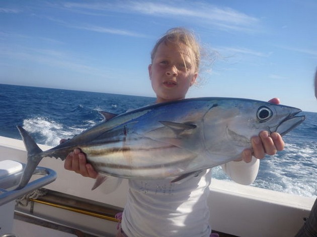 Skipjack Tuna Cavalier & Blue Marlin Sport Fishing Gran Canaria