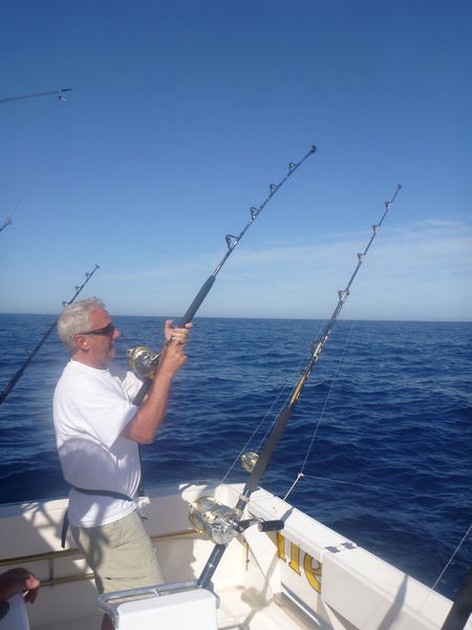 Hook Up Cavalier & Blue Marlin Sport Fishing Gran Canaria