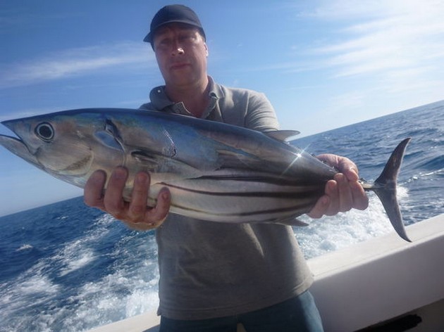 Skipjack Tuna Cavalier & Blue Marlin Sport Fishing Gran Canaria