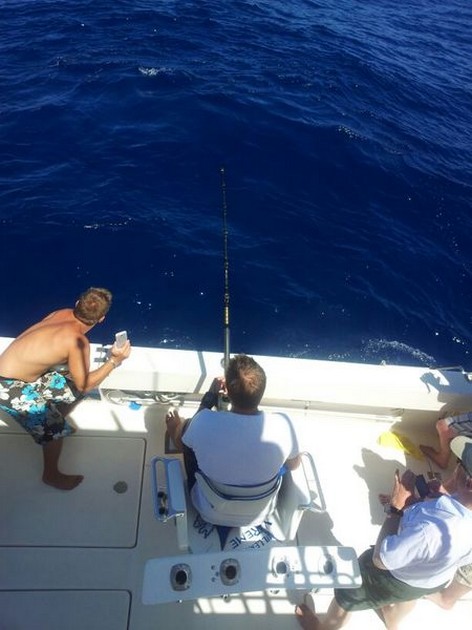 Hooked Up Cavalier & Blue Marlin Sport Fishing Gran Canaria