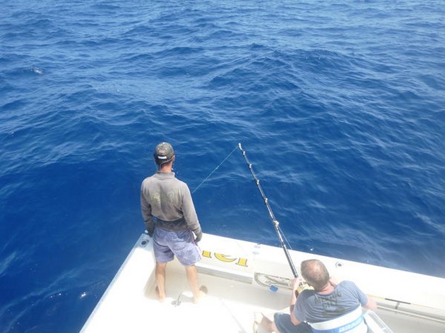 Blue Marlin Cavalier & Blue Marlin Sport Fishing Gran Canaria