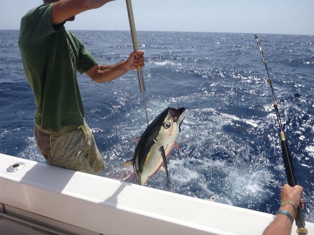 Hook Up Cavalier & Blue Marlin Sport Fishing Gran Canaria