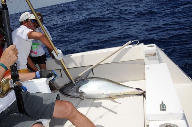 Big Eye Tuna Cavalier & Blue Marlin Sport Fishing Gran Canaria