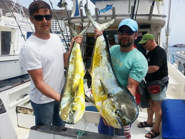 BLÅ MARLIN FISKESCHARTER - VECKOVISNING I dag Cavalier & Blue Marlin Sport Fishing Gran Canaria