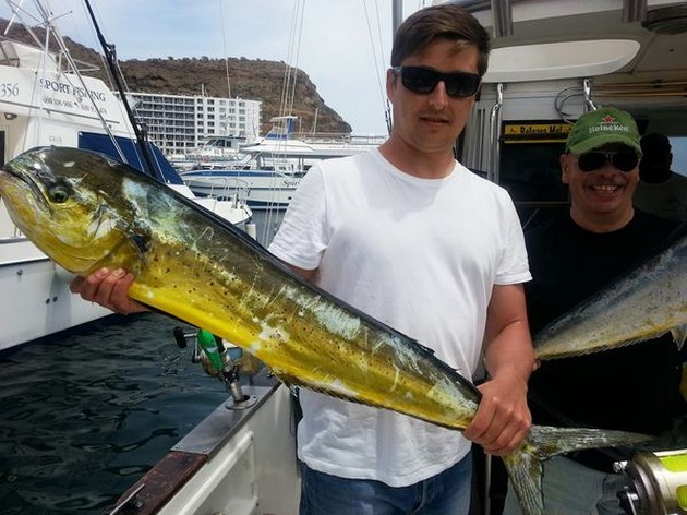 INTE LYCKA De senaste fiskedagarna har vi inte riktigt tur Cavalier & Blue Marlin Sport Fishing Gran Canaria