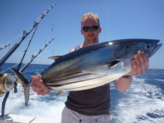 Skipjack Tuna Cavalier & Blue Marlin Sport Fishing Gran Canaria