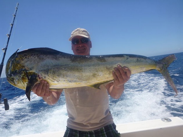 Dorado Cavalier & Blue Marlin Sport Fishing Gran Canaria