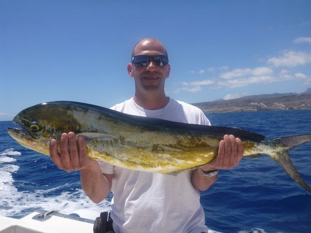 Dorado Cavalier & Blue Marlin Sport Fishing Gran Canaria