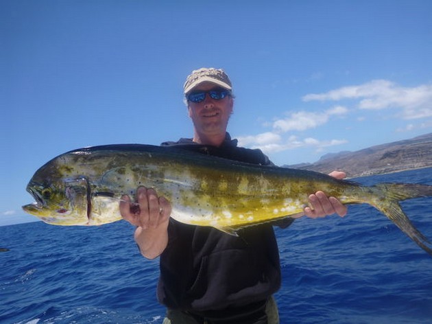 Dorado Cavalier & Blue Marlin Sport Fishing Gran Canaria