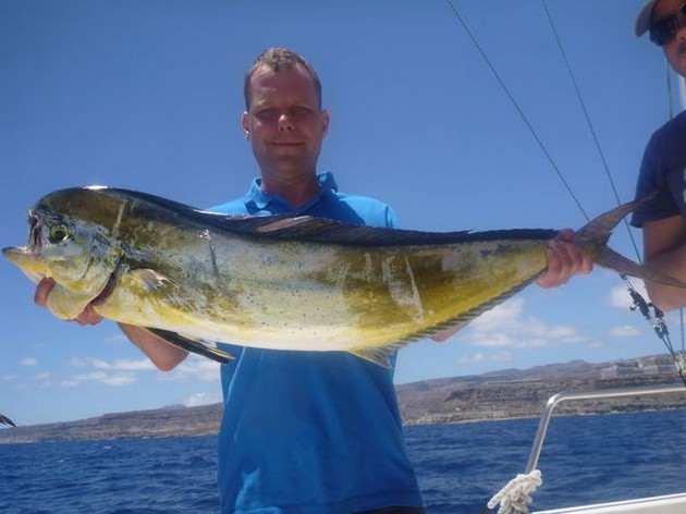 Dorado Cavalier & Blue Marlin Sport Fishing Gran Canaria