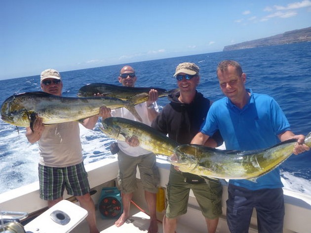 Dorado's Cavalier & Blue Marlin Sport Fishing Gran Canaria