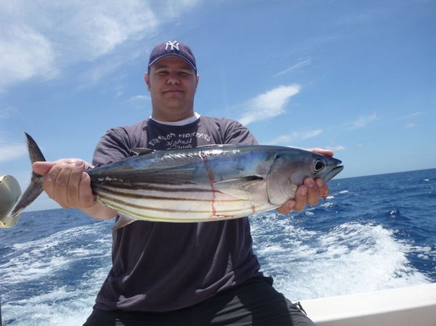 Skipjack Tuna Cavalier & Blue Marlin Sport Fishing Gran Canaria
