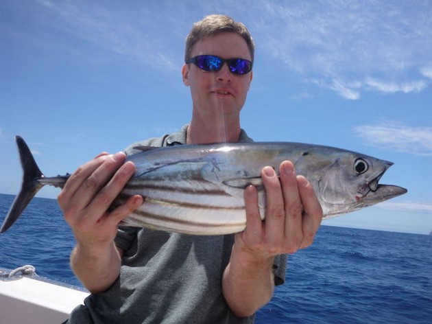 Skipjack Tuna Cavalier & Blue Marlin Sport Fishing Gran Canaria