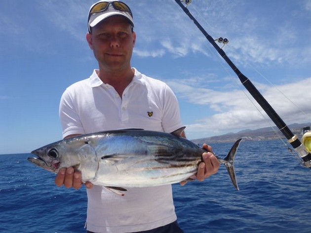 Skipjack Tuna Cavalier & Blue Marlin Sport Fishing Gran Canaria