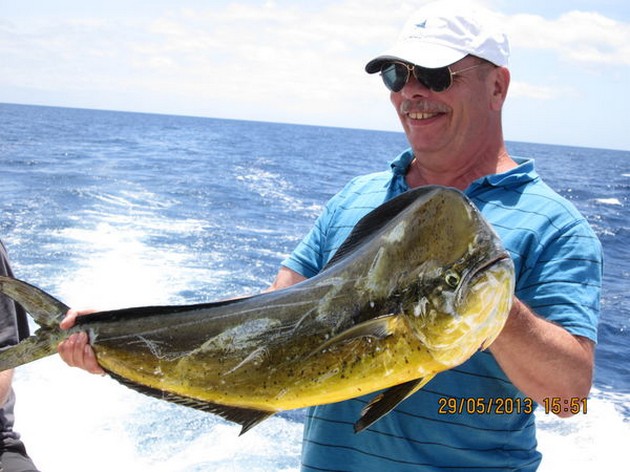 Dorado Cavalier & Blue Marlin Sport Fishing Gran Canaria