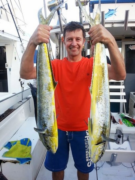 Dorado's Cavalier & Blue Marlin Sport Fishing Gran Canaria
